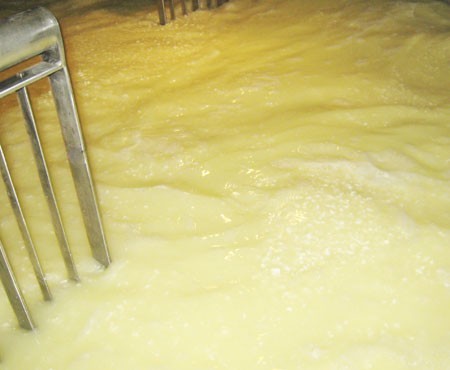 Частичная посолка в зерне без соленой сыворотки