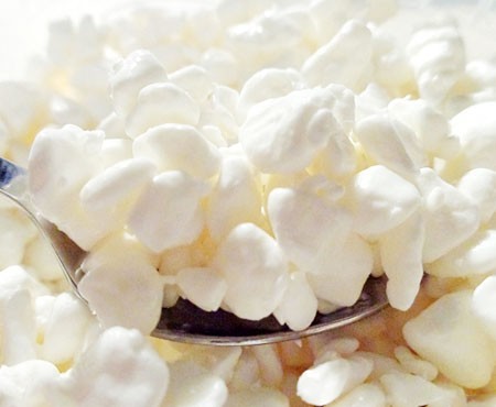 ПРОИЗВОДСТВО ЗЕРНЕНОГО ТВОРОГА